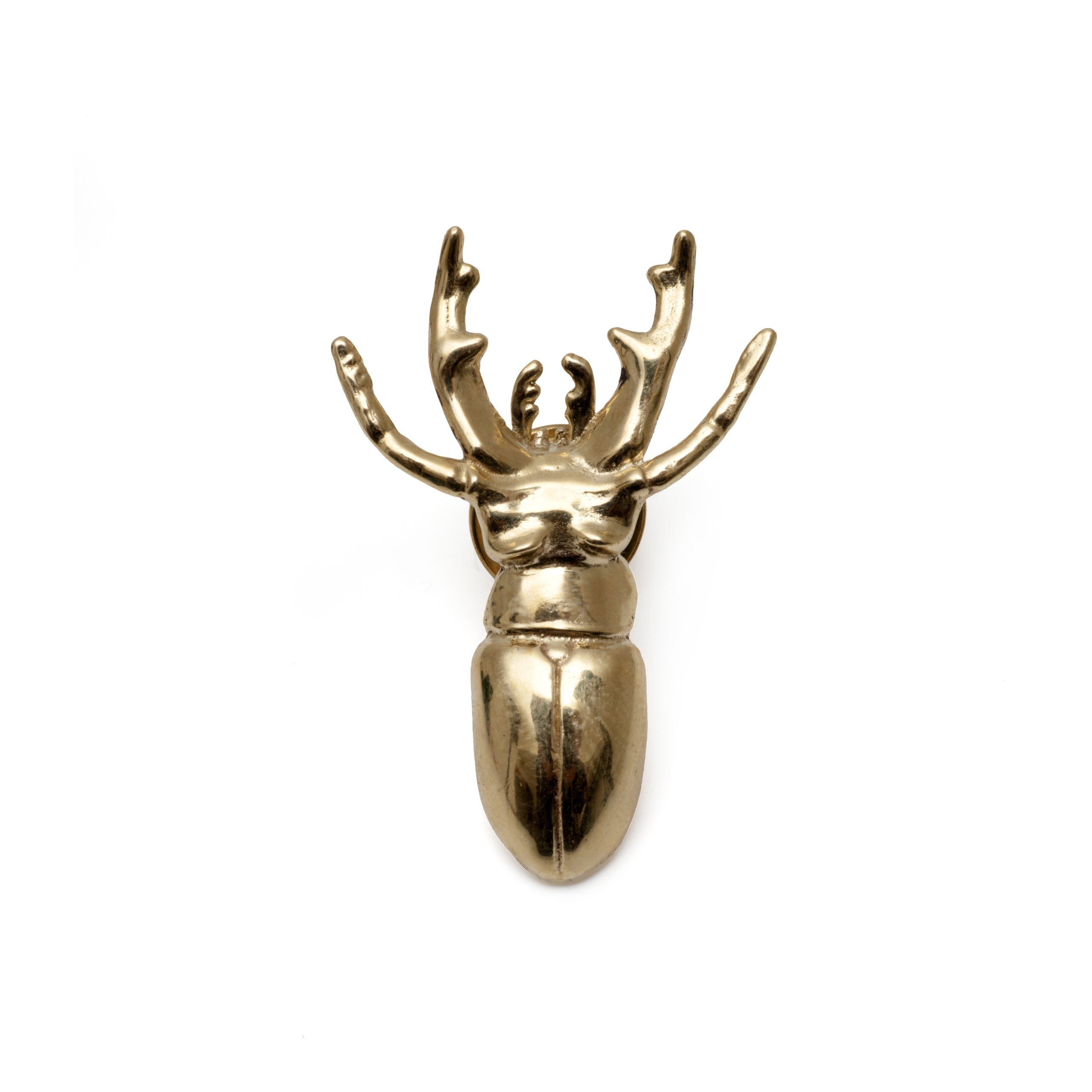 Beetle pin