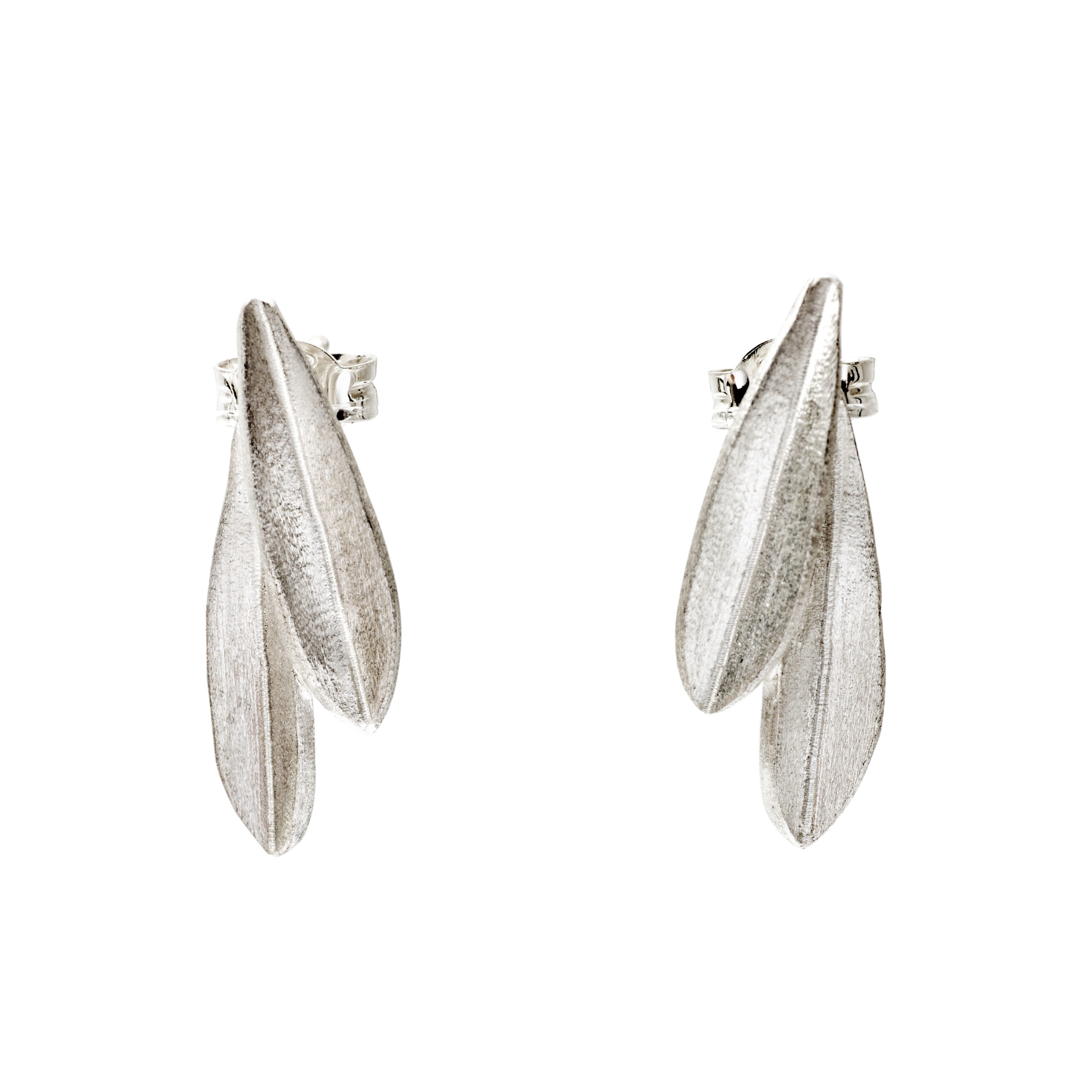 Olive leaves